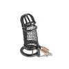 Cage Chasteté De Pénis Matrix Black