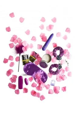 Coffret Fantastic Purple Sex Toy Kit