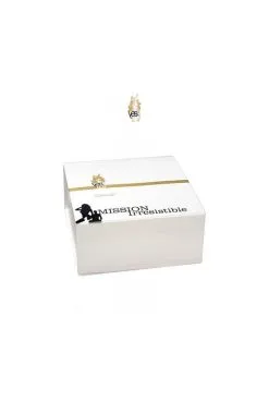 Coffret Mission Irresistible YESforLOV -SexToys Soldes coffret mission irresistible yesforlov 2