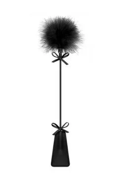 Cravache Noire SM Plumeau
