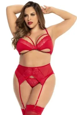 Ensemble Sexy Chic Soutien Gorge Porte Jarretelles Et String Rouge Grande Taille -SexToys Soldes ensemble sexy chic soutien gorge porte jarretelles et string rouge grande taille 2