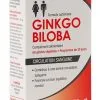 Ginkgo Biloba Extra Fort