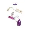 Masseur Clitoridien Vibrant