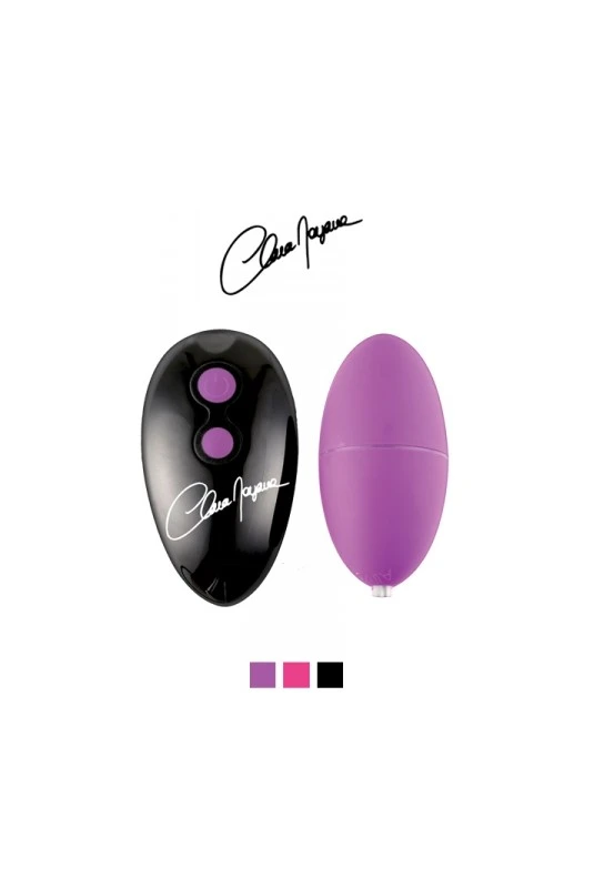 Oeuf Vibrant Télécommandé Le Super Vibrant 1 Oeuf Vibrant Télécommandé Le Super Vibrant