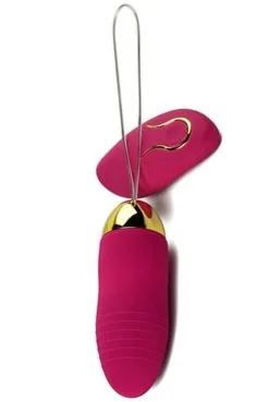 Oeuf Vibrant Télécommandé Rose 10 Vitesses USB