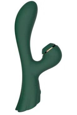 Vibro Double Stimulation Point G Et Succion Clitoris USB Vert
