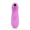 Vibro Succion 10 Vitesses De Voyage Rose